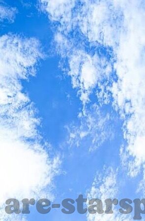 足球比分直播的网站-足球比分直播网站大揭秘，如何找到最靠谱的观赛伴侣？